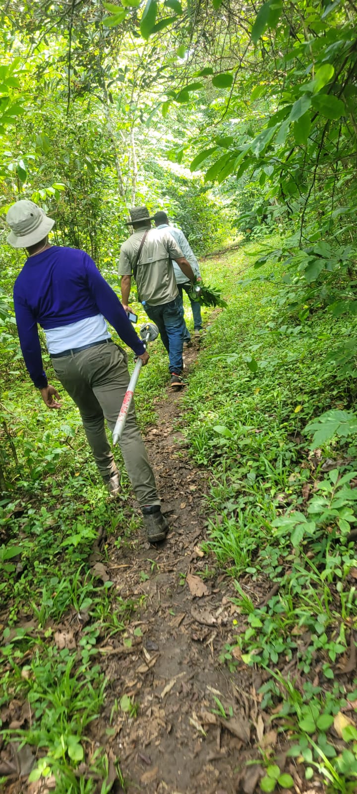 Levantamiento topográfico para fines de Titulación-Sabana del estado monte plata