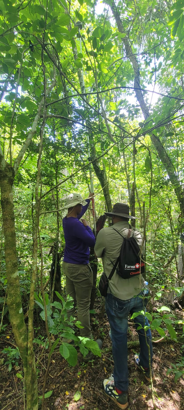 Levantamiento topográfico para fines de Titulación-Sabana del estado monte plata