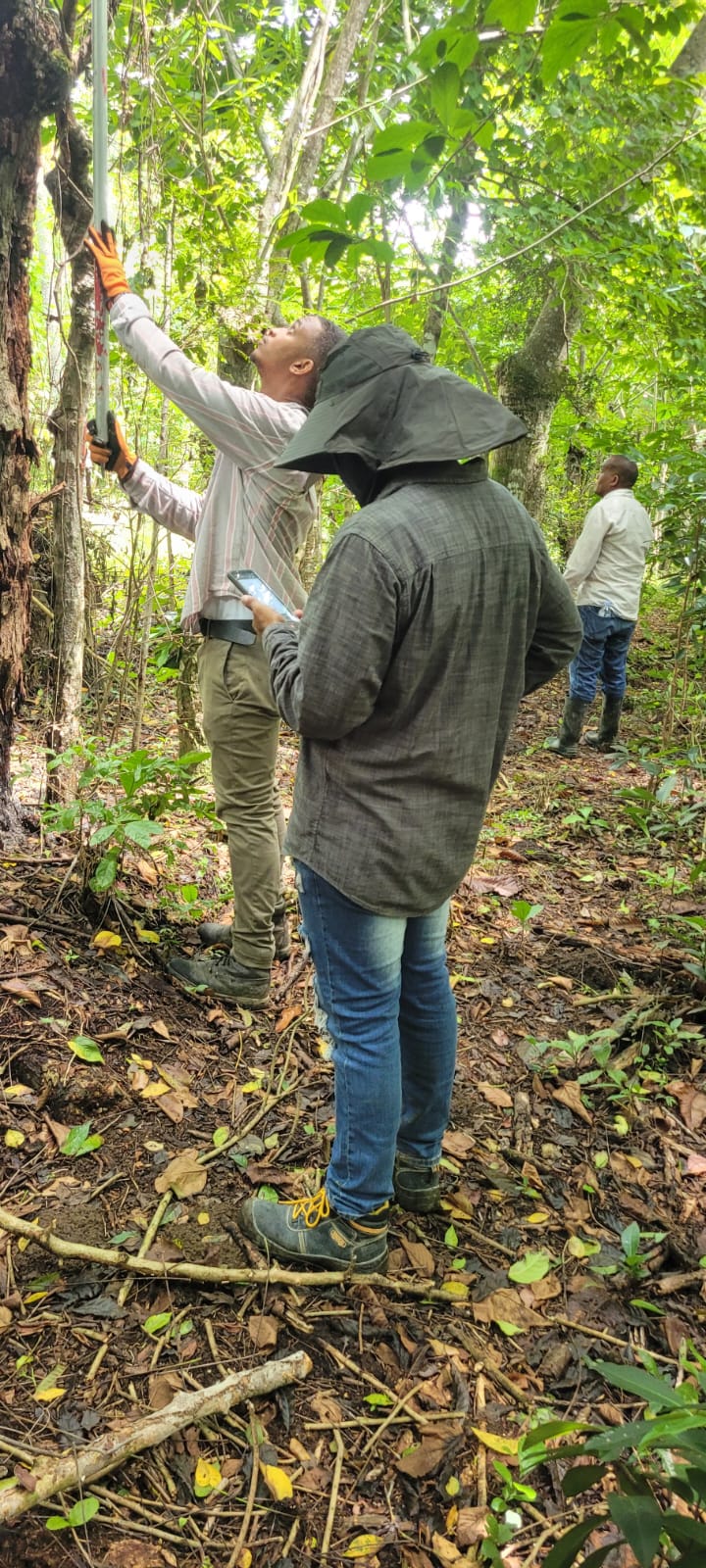 Levantamiento topográfico para fines de Titulación-Sabana del estado monte plata